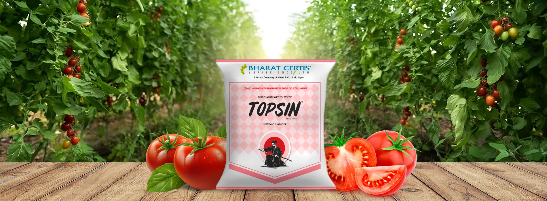 How to Identify and Control Tomato Ring Rot Effectively