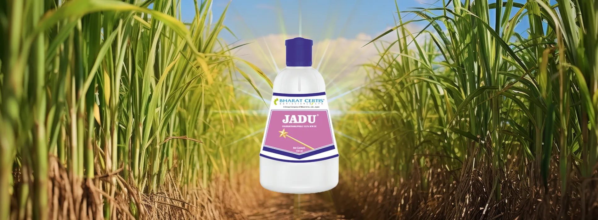 Effective Borer and Termite Control in Sugarcane Farming with Jaadu Insecticide