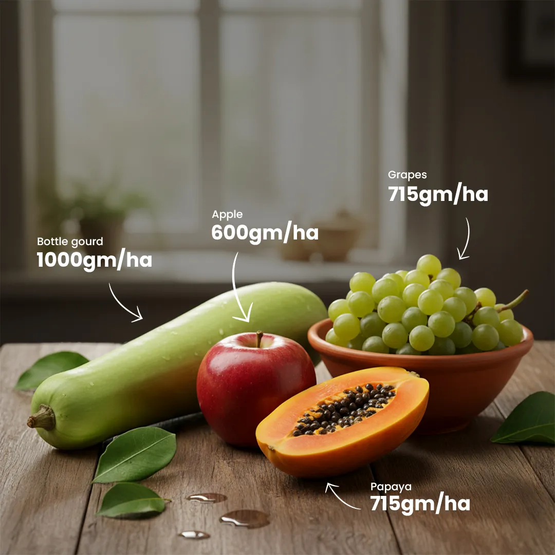 Topsin Fungicide for Tomato Ring Rot