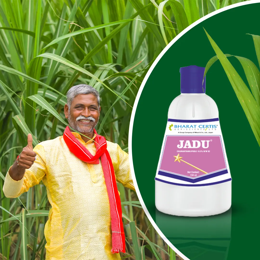 Jaadu insecticide for sugarcane borer and termite control